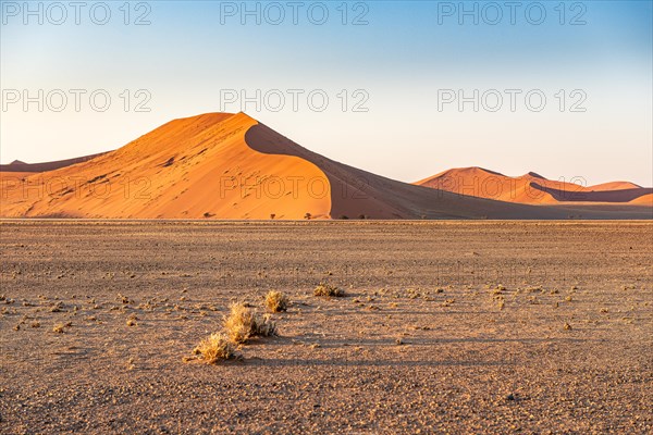 Red Sand Dunes