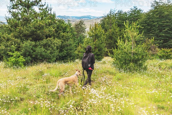 Woman with her greyhound dog walking in the mountains surrounded by trees