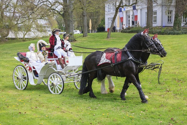 Horse-drawn carriage