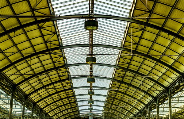 Railroad Station Roof in Lucerne