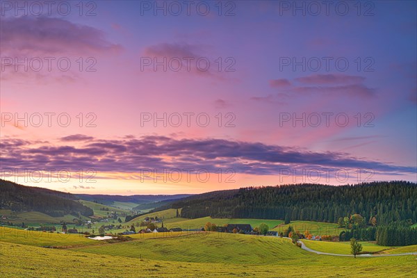 Black Forest landscape