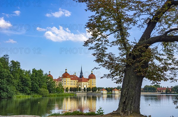 The world-famous Moritzburg Castle near Dresden