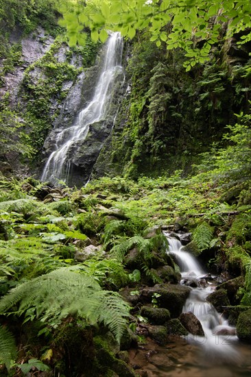 Landscape shot of the Burgbach waterfall