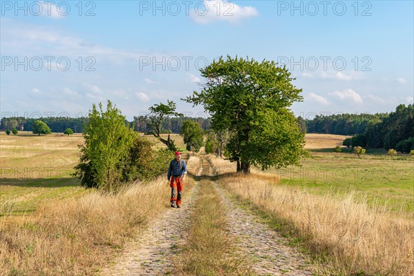 Hikers on a cobblestone path
