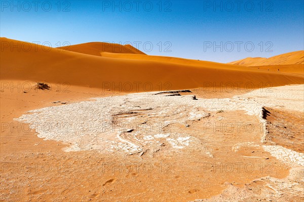 Red Sand Dunes