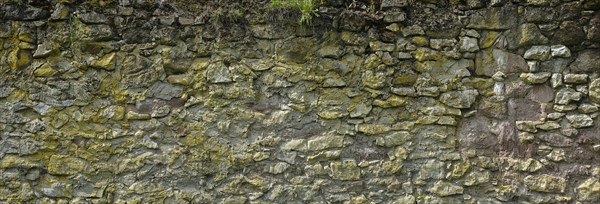 Historic town wall in the Dortelweil district