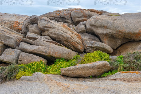 Cape Columbine Nature Reserve