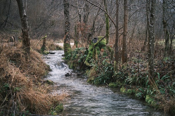 Slightly gloomy and murky river landscape in winter without snow