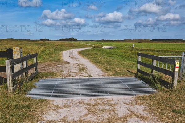 Cattle grid in ground