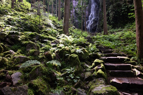 Landscape shot of the Burgbach waterfall