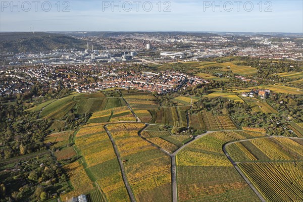 Vineyards in the area of the districts of Rotenberg and Untertuerkheim