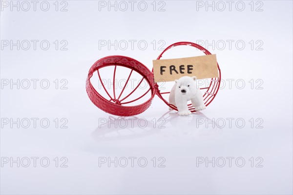 Polar bear cage open to freedom on white background