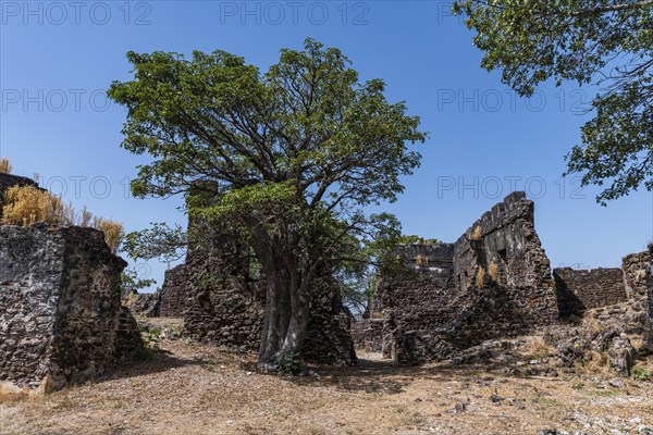 Ruins of Fort James