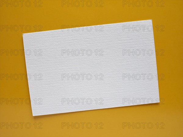 Blank paper tag label