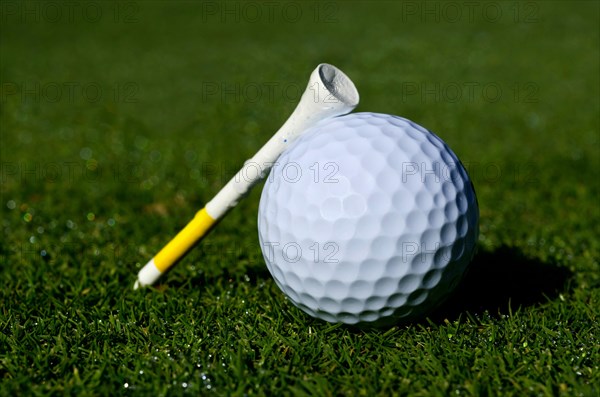 Golf Tee Leaning on a Golf Ball