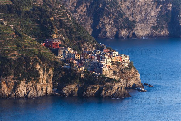 Manarola im Abendlicht