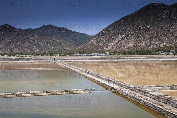 Salt fields for salt production