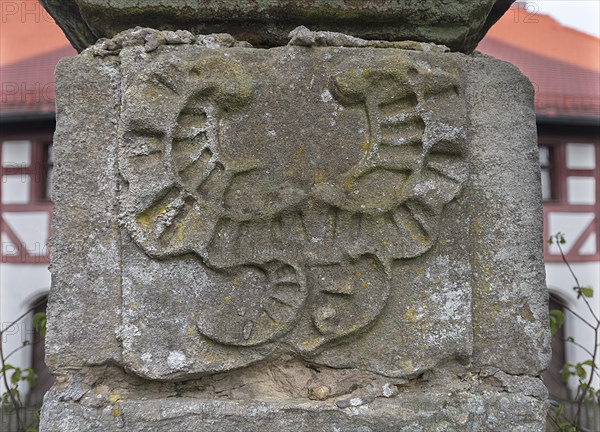 Baroque Rocaille at the Gate Entrance of the Koler Castle