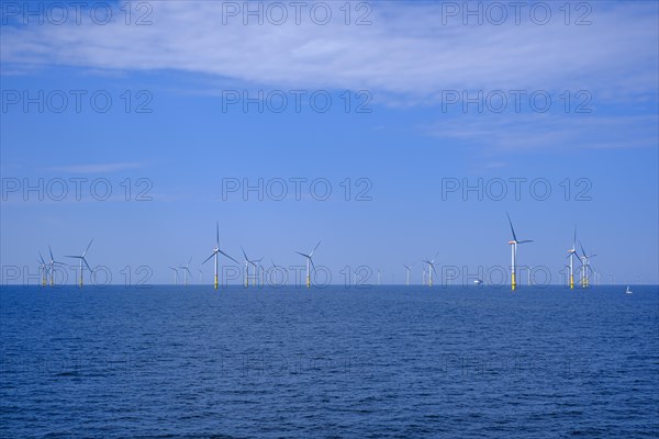 Large offshore wind farm in the Baltic Sea to generate green