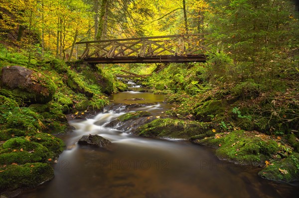 Bridge over the Ravenna stream