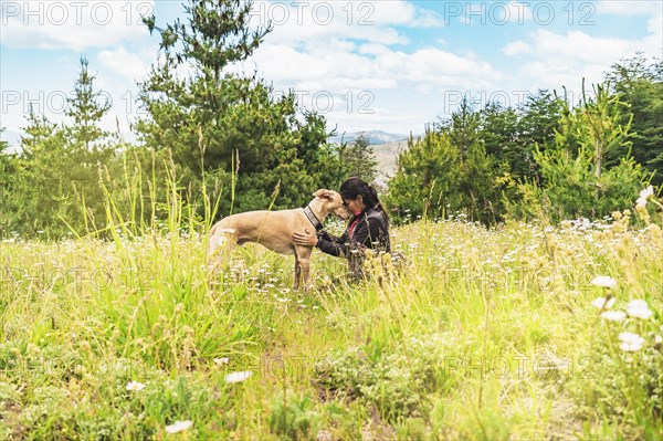 Woman with her greyhound dog in the mountains. Friendship between dog and pet owner