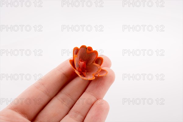 Color pencils shavings at the top of fingers on white background