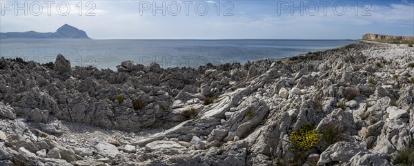 Rocks on the coast