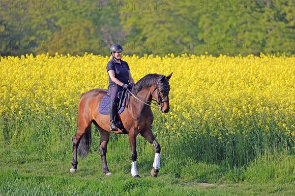 Woman with horse