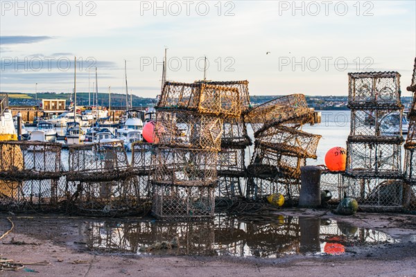 Crab cages and fishing nets