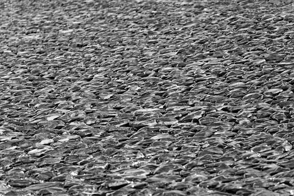 Basalt stones in the morning light