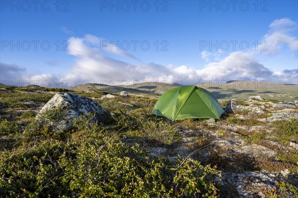 Green tent