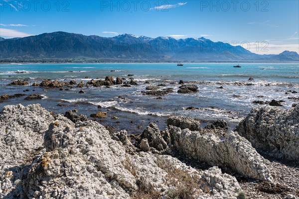 Kaikoura