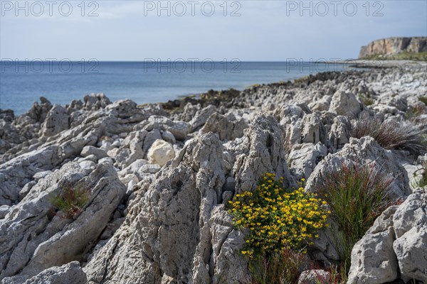 Rocks on the coast