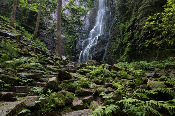 Landscape shot of the Burgbach waterfall