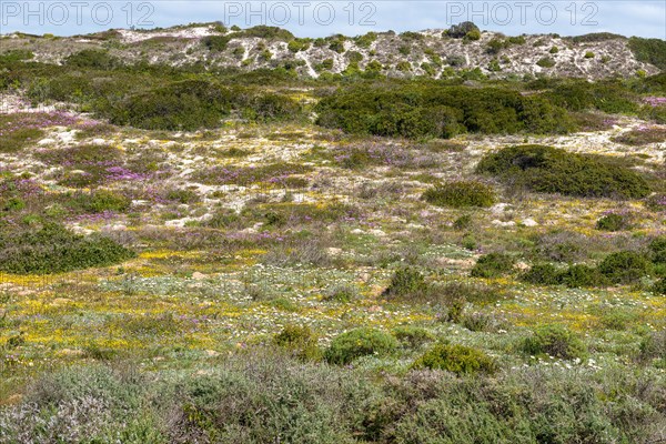 West Coast National Park