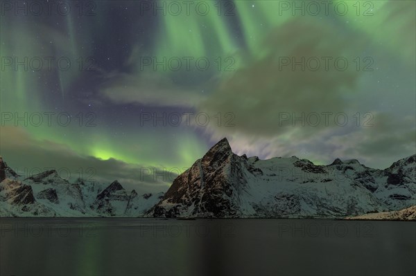 Northern Lights or Aurora Borealis over Reinefjord