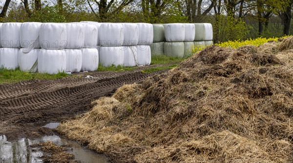 Hay bales and dung heap on an agricultural field