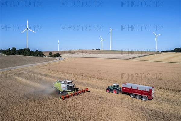 Grain harvest in the Swabian Jura