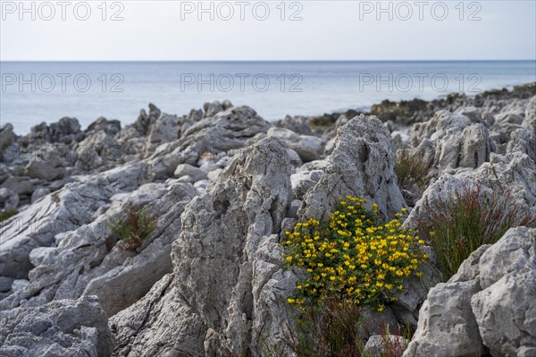 Rocks on the coast