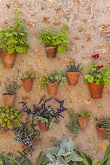 Flower pots on house wall