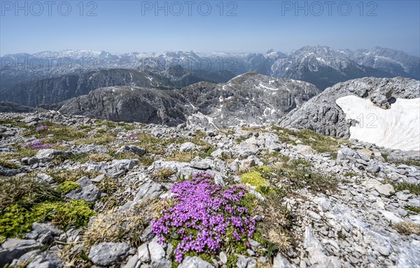 Spring in the mountains