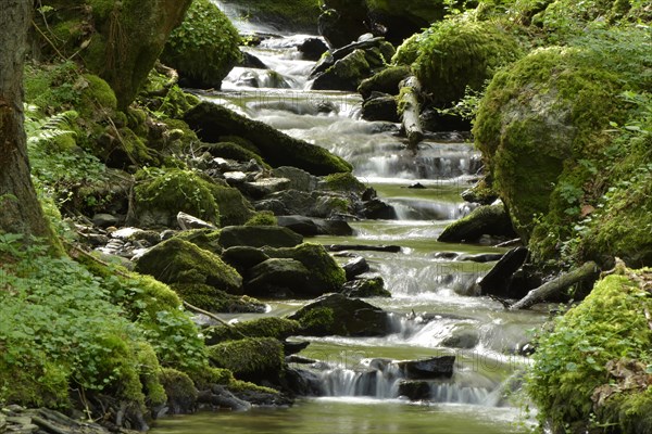 The Moselle tributary Hitzelbach near Altlay in Hunsrueck in spring