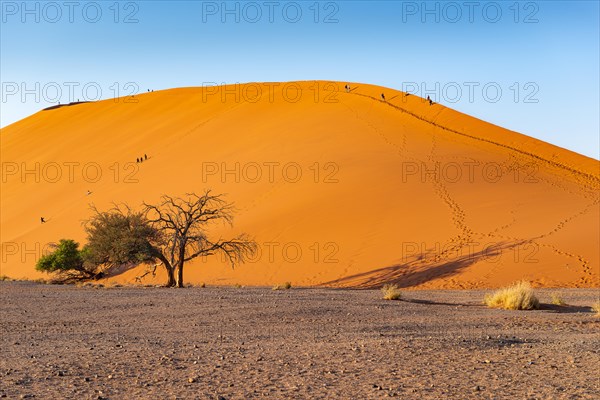 Red sand dunes