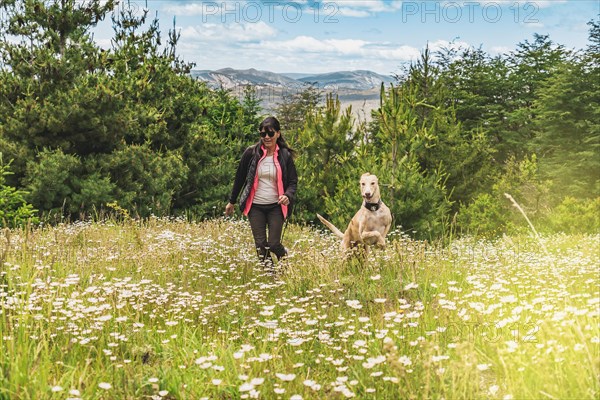 Latin woman and her dog together. Friendship between dog and pet owner. Woman running with her greyhound in nature