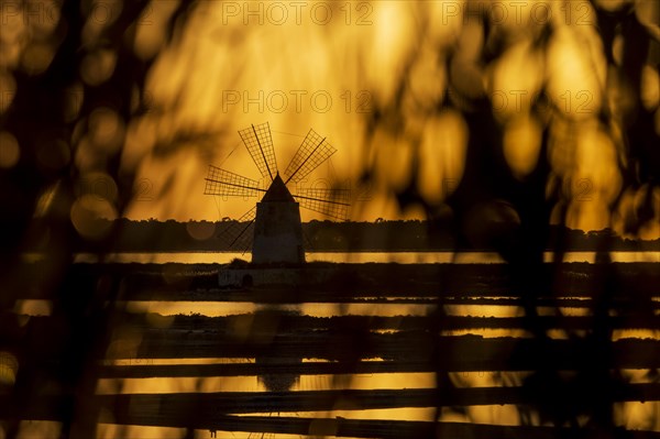 Windmill at sunset