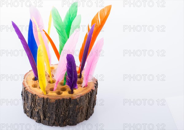 Collection of bright colored feathers on a wooden log