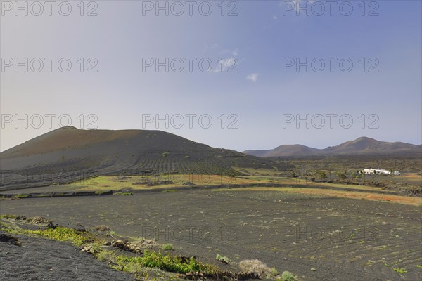 Vineyards around La Geria with the mountain Montana Chupaderos