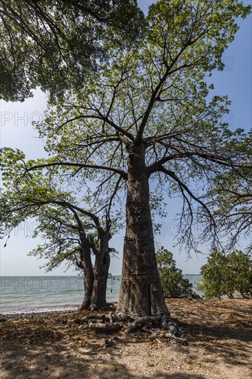 Unesco site Kunta Kinteh or James island