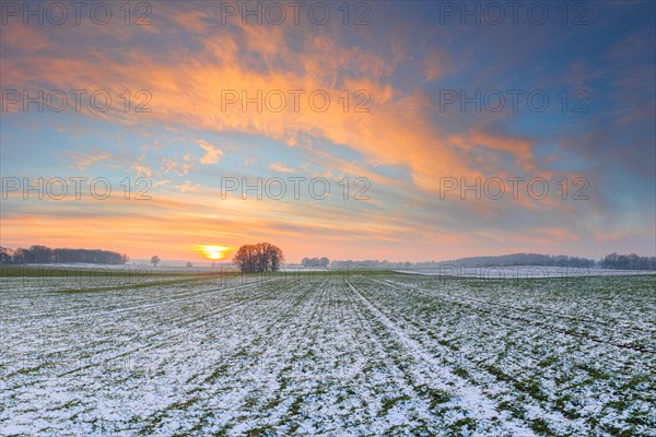 Evening atmosphere of a snow-covered field