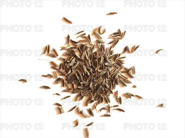 Black Cumin